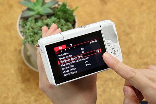 Canon aspect ratio menu