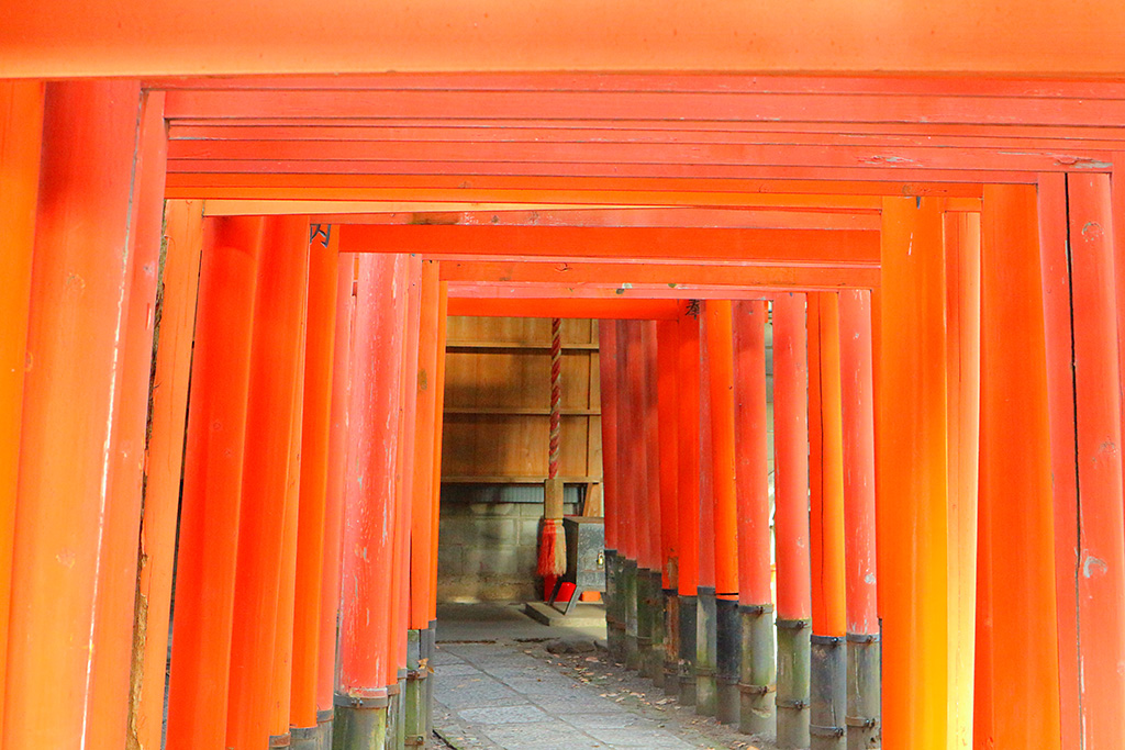 Torii shot with Creative Assist