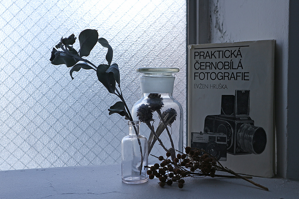 Plants by the window (darker)