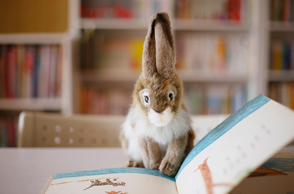 Stuffed rabbit reading book