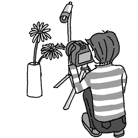 Illustration of setup