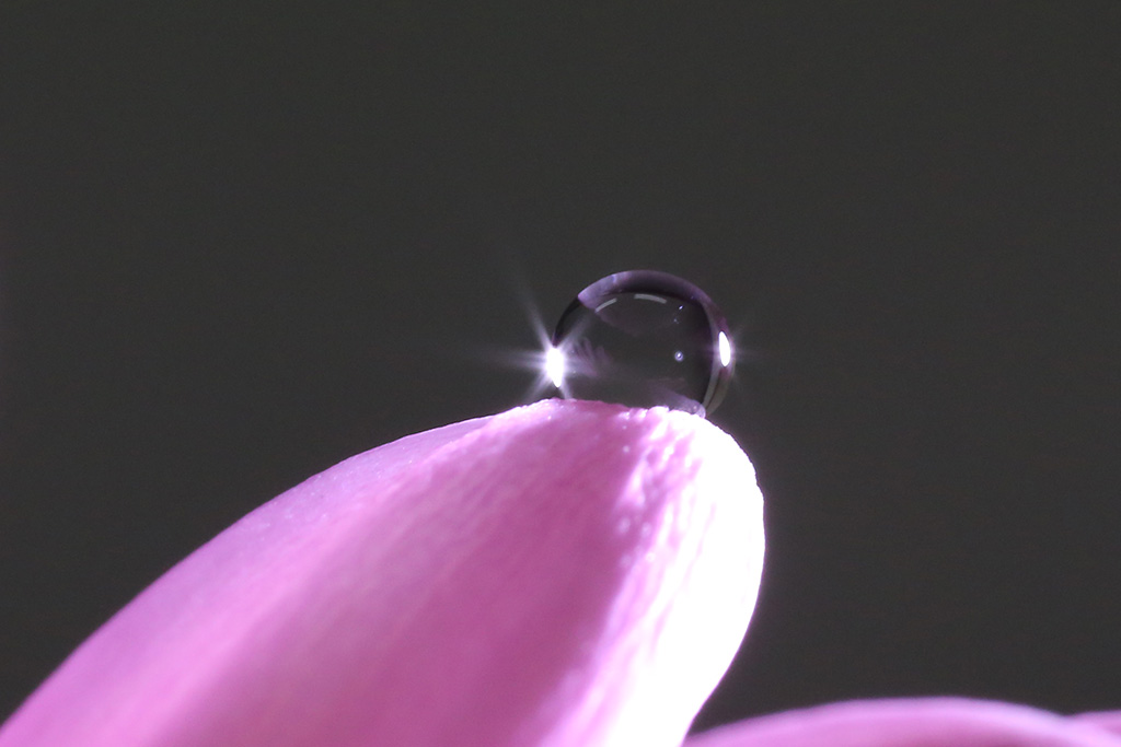 Water drop in fingertip with starburst