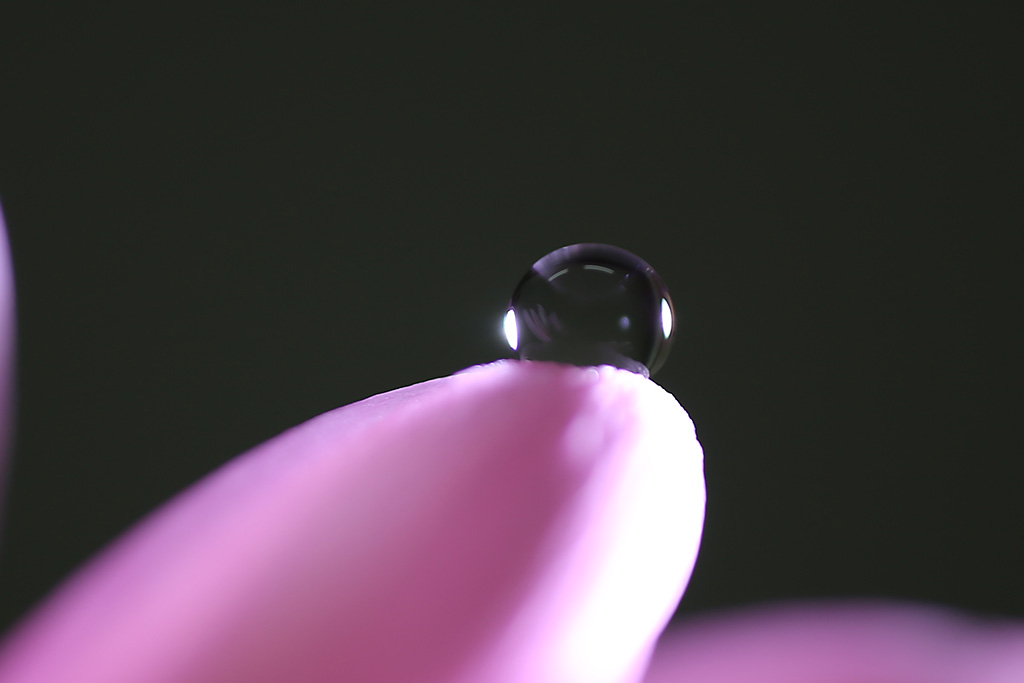 Water drop on fingertip shot at f/2.8