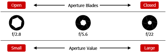 Diagram showing relationship between f-number and aperture size