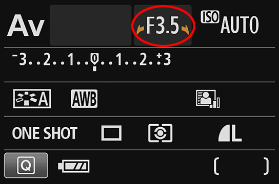 Quick Control menu on DSLR