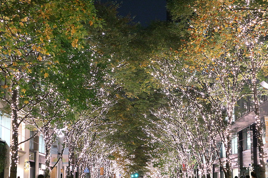 Street with Christmas lights (shot with telephoto compression)