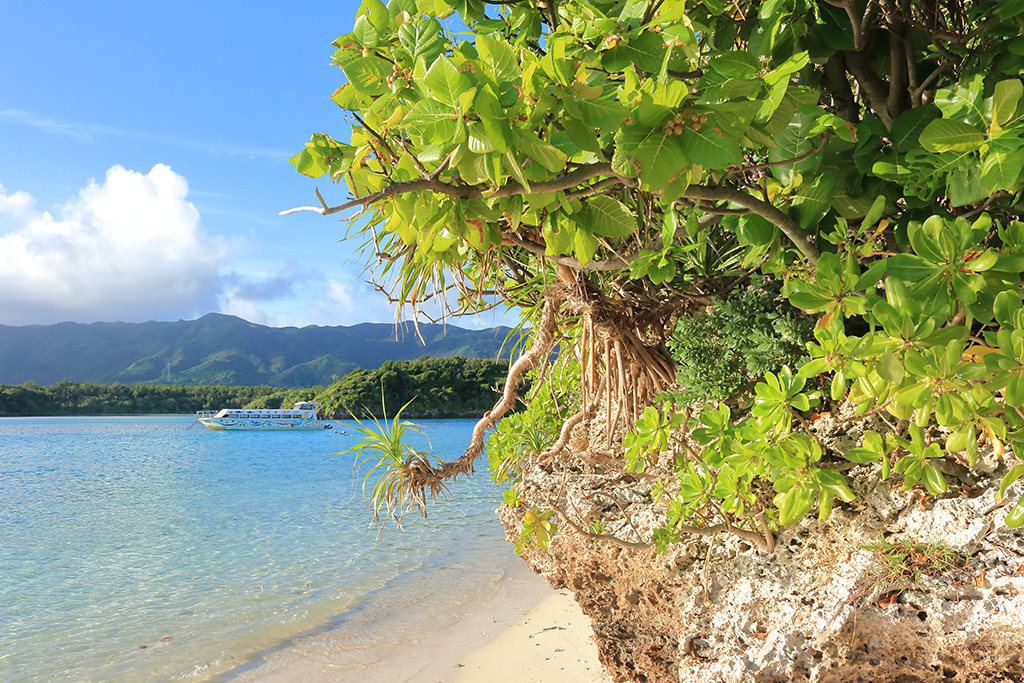 Deep focus landscape with close up of trees in foreground