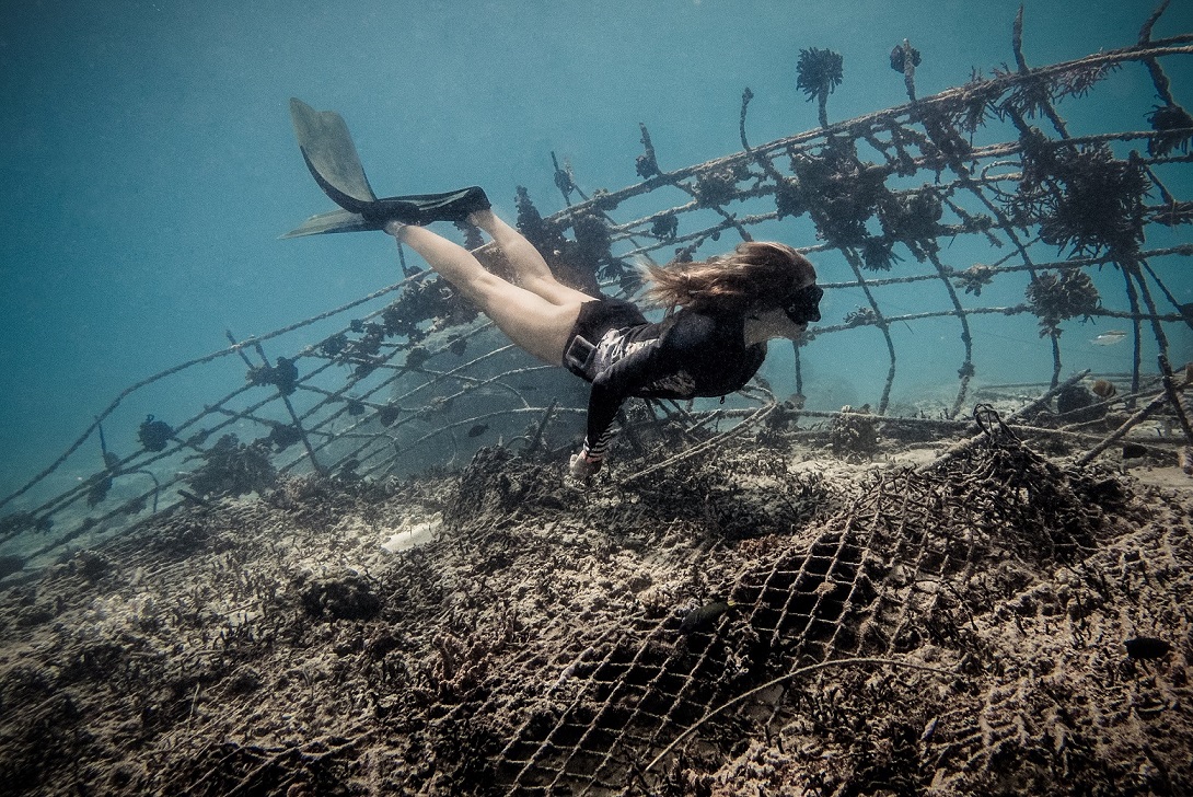 Canon PowerShot G7 X Mark II underwater camera