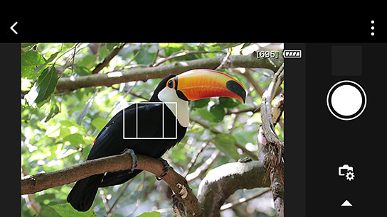 Camera Connect screen (horizontal orientation)