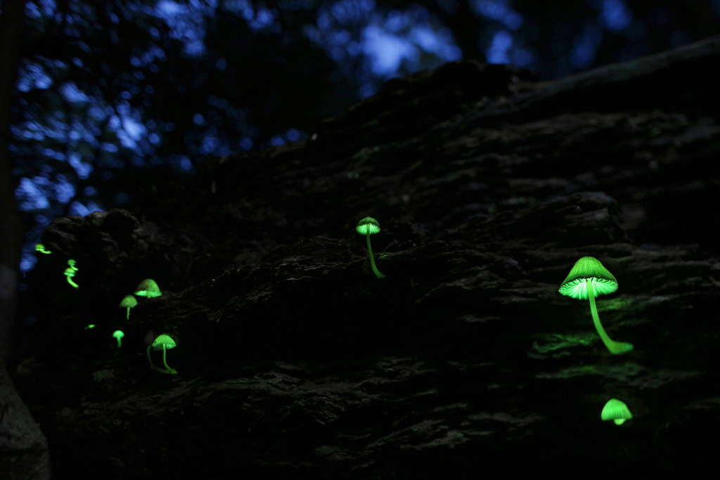 A low angle image shot with the EOS 5D Mark III