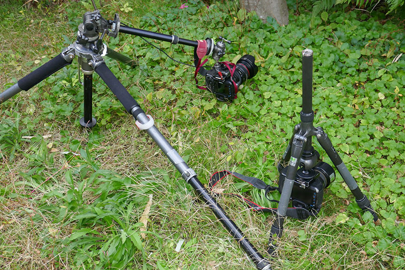 The tripod I used for shooting at a low angle