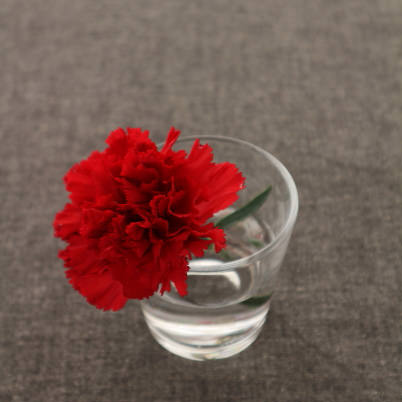 Red flower in glass on dark grey cloth