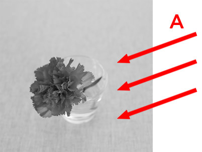 Diagram showing lighting angles
