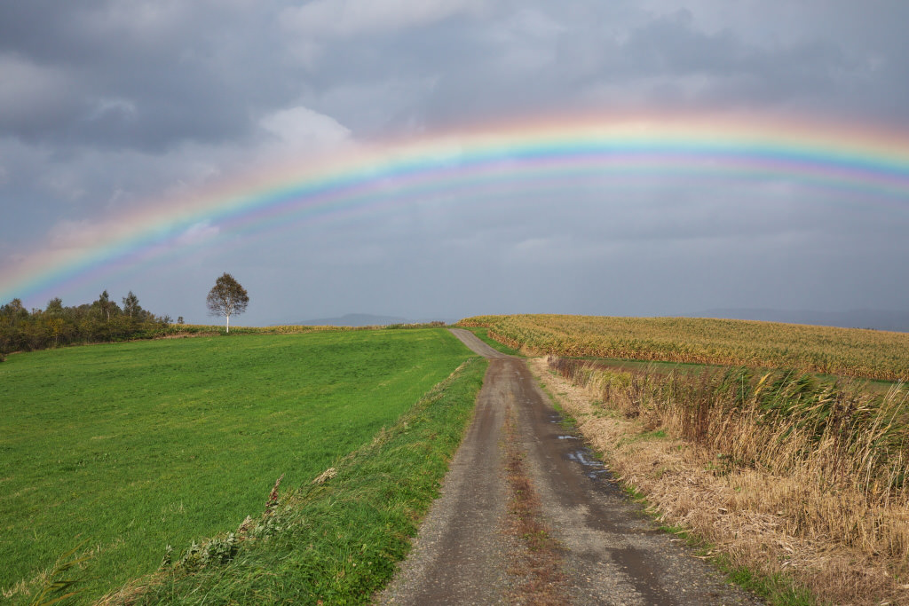 A rainbow photographed with the EOS 5D Mark IV