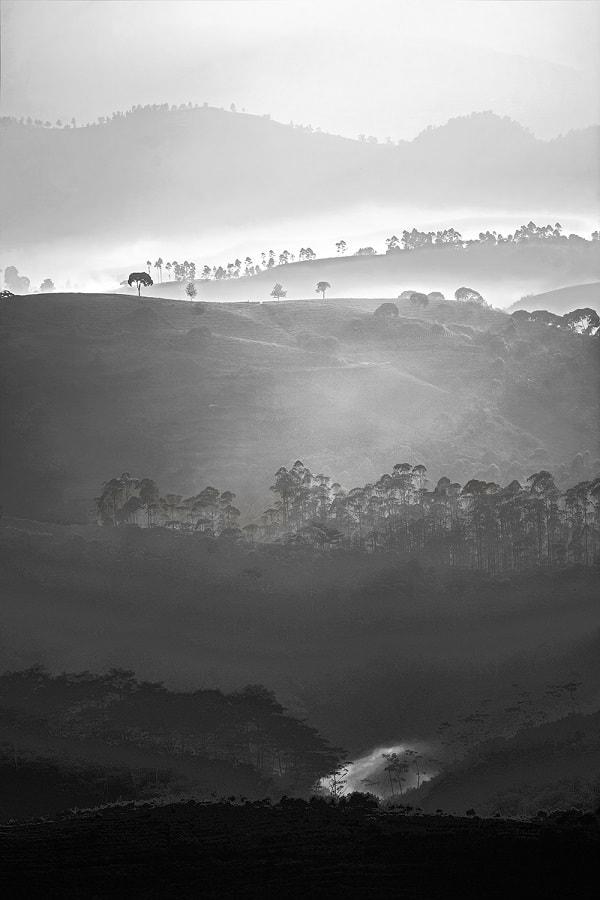 landscape photography