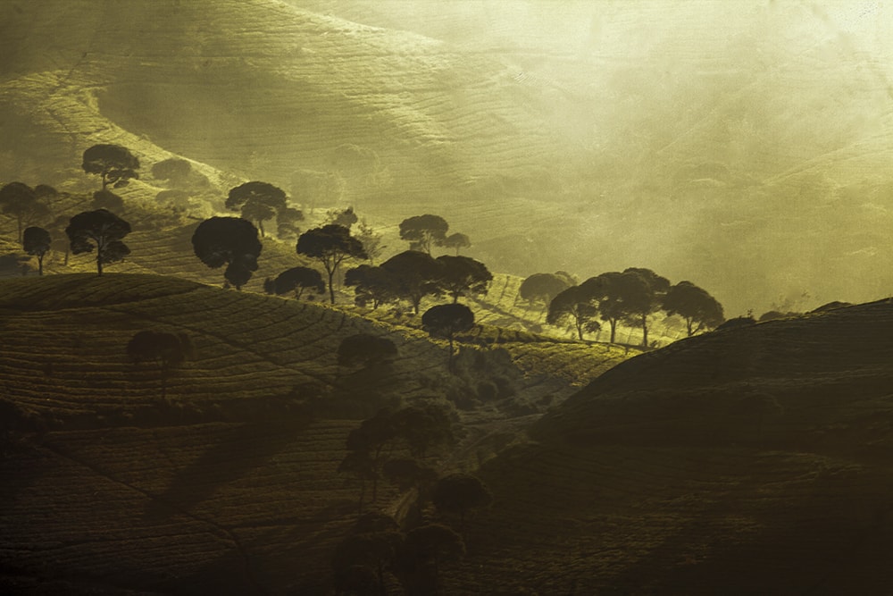 landscape photography