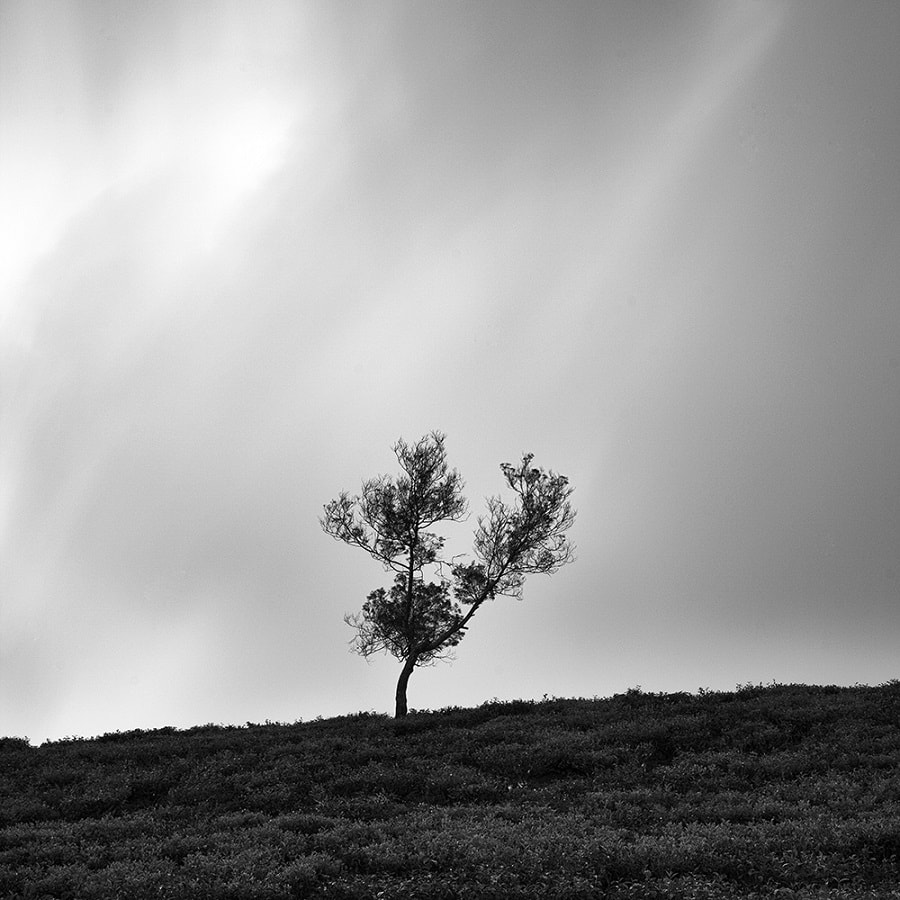 landscape photography