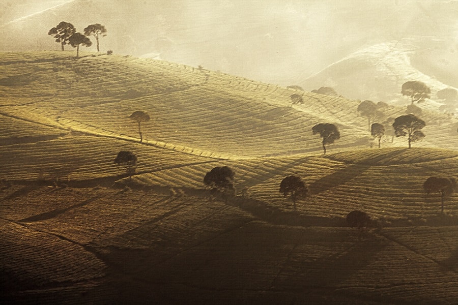 landscape photography