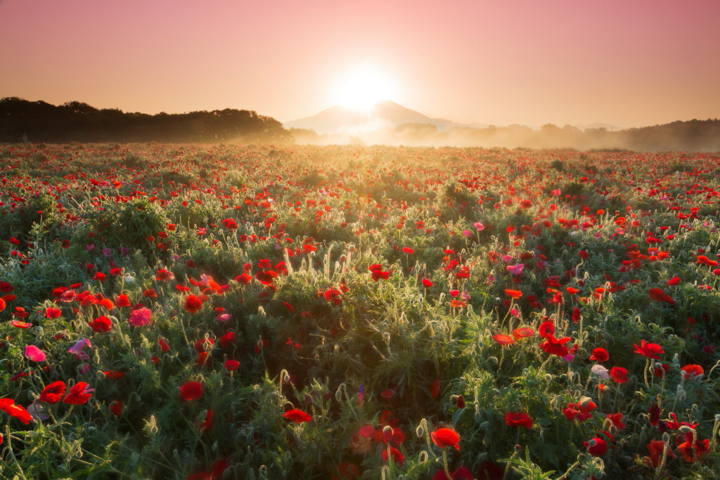 A shot of Mount Tsukuba, taken after sunrise with the EOS 5D Mark III