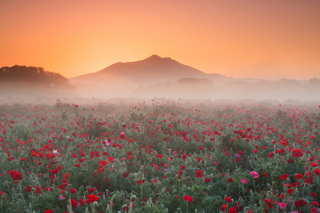 A shot of Mount Tsukuba, taken before sunrise with the EOS 5D Mark III