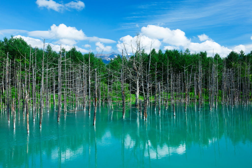 Blue Pond, Hokkaido, shot with the EOS 5D Mark II