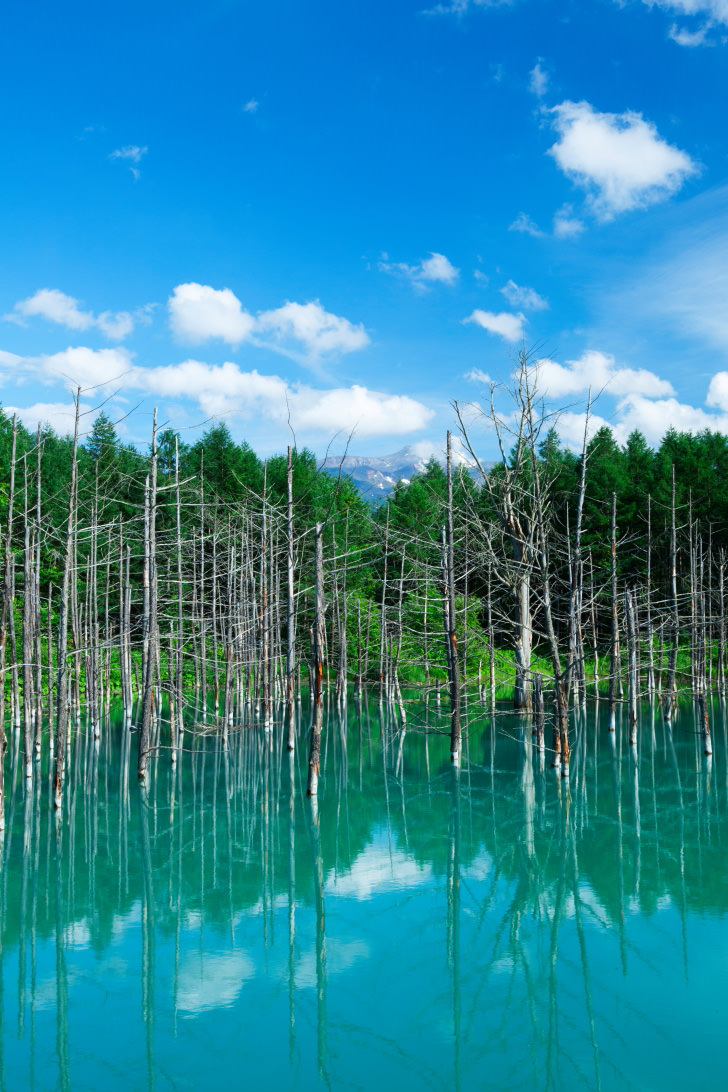 Blue Pond, shot with the EOS 5D Mark II in portrait orientation