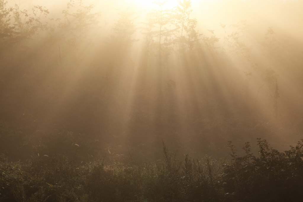 Halo light rays, captured with the EOS 5D Mark IV