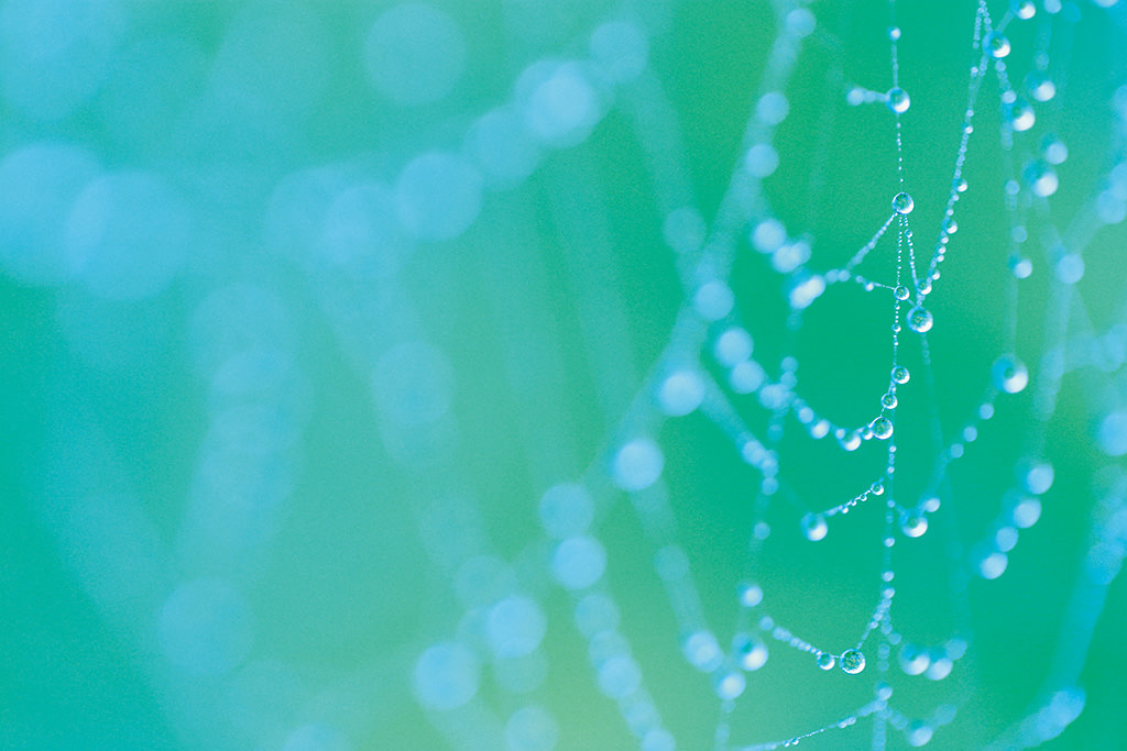 Water droplets (failed shot)