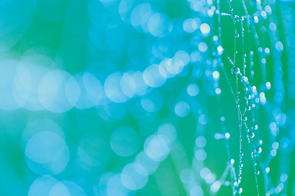 Water droplets shot with the EOS 6D