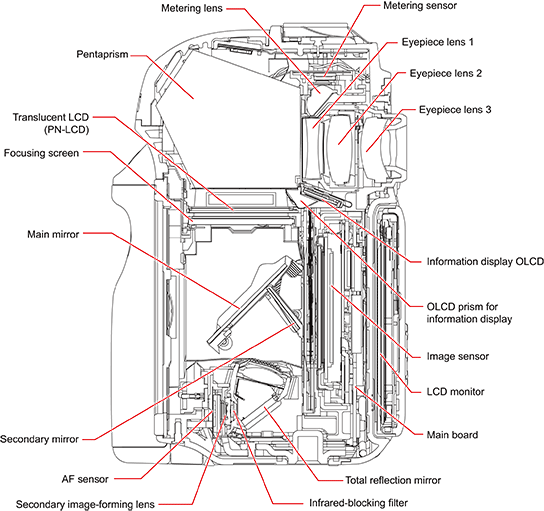 EOS 6D Mark II cross section