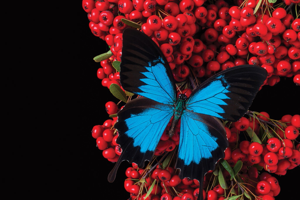 How Light Affects Colour