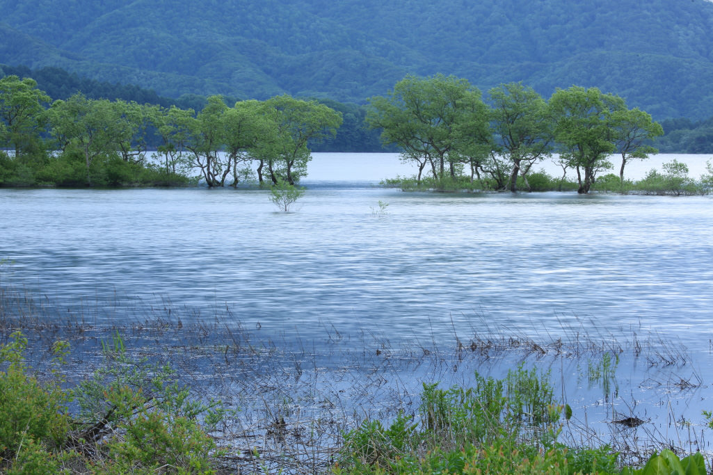 Shot at focal length 150mm 