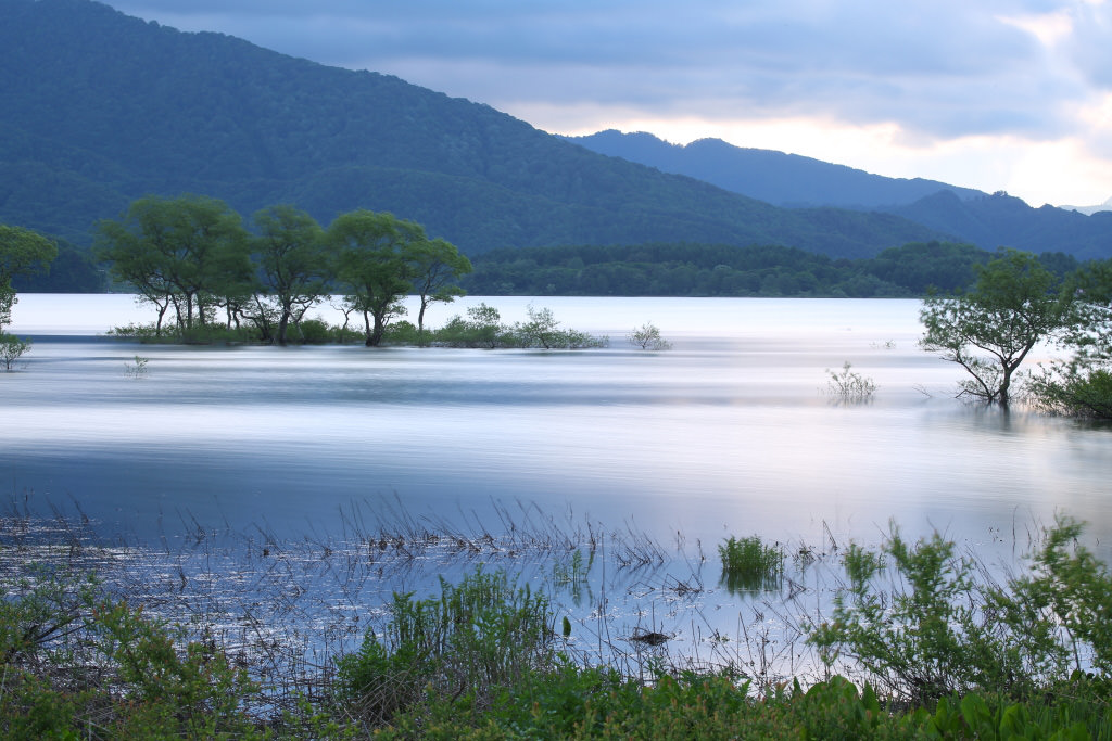 Silent lake in the morning