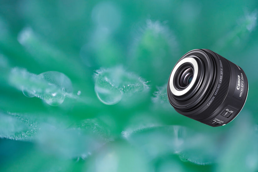 EF-S35mm f/2.8 Macro IS STM