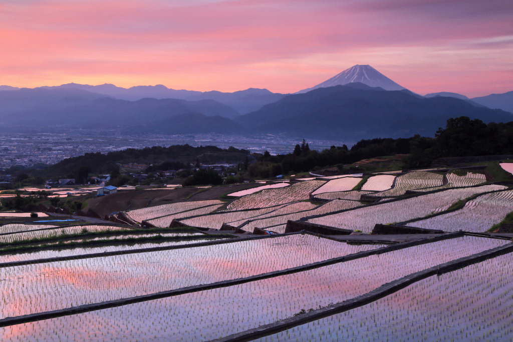 Rice terraces in sunrise