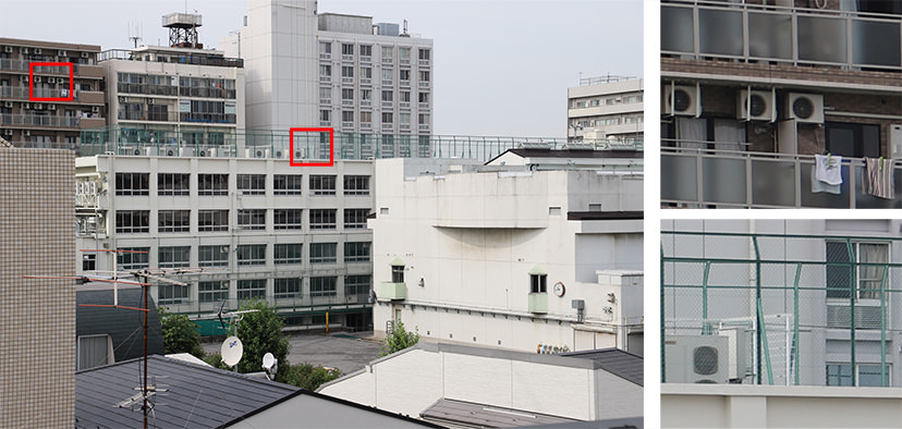 Sample image by EOS 6D Mark II (CMOS sensor)