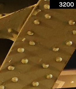 Sample images by EOS 6D Mark II at various ISO speeds