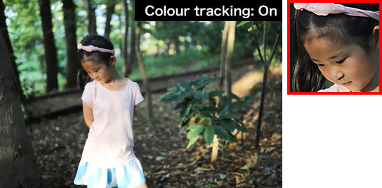 EOS 6D Mark II (Colour tracking on)