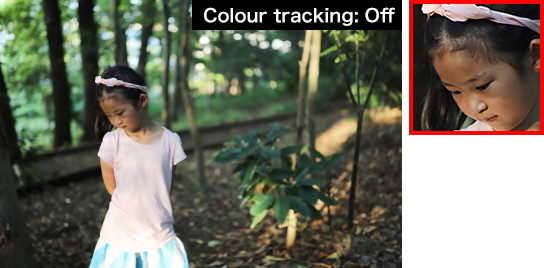 EOS 6D Mark II (Colour tracking off)