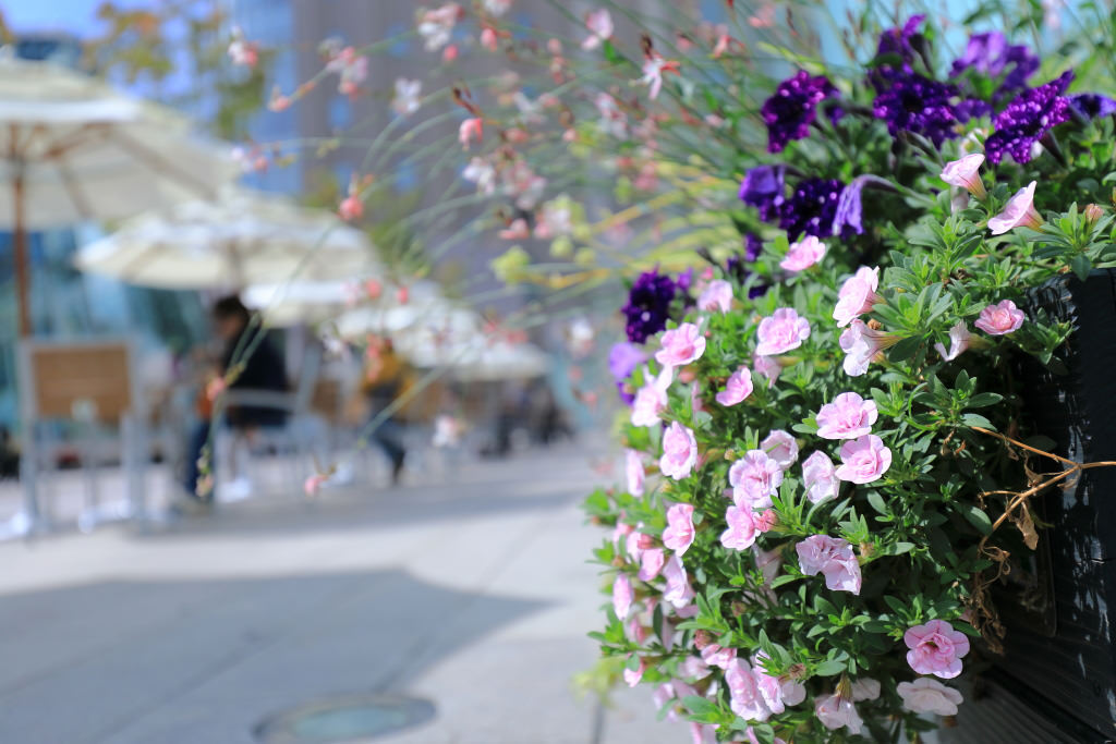 Landscape photography (EOS 5D Mark IV + EF16-35mm f/4L IS USM) Shot at 35mm