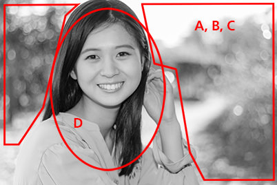 Portrait Photography (procedure)