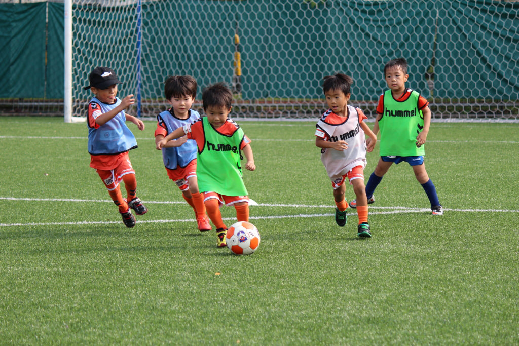 Merit Award (by Aiko Hirasawa)