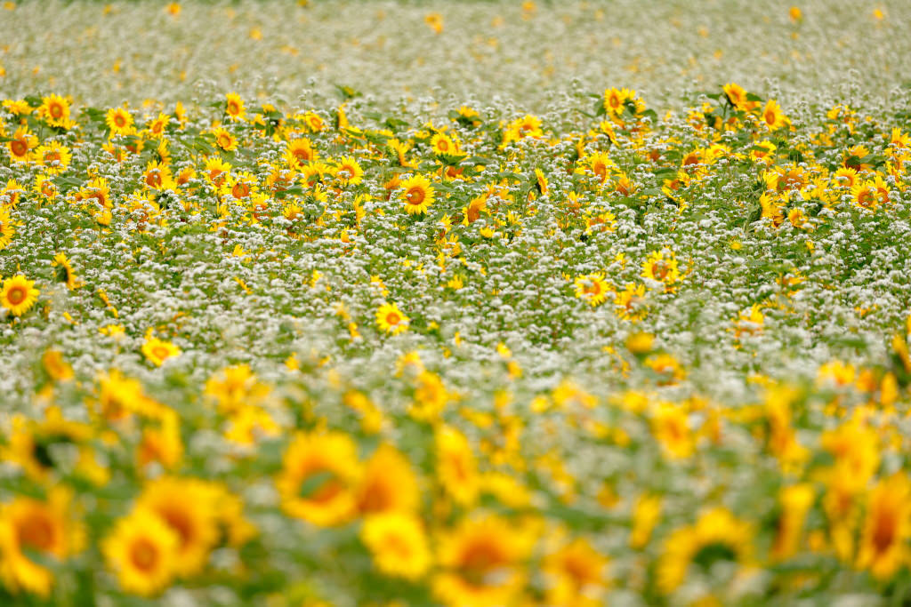 Landscape photo, shot with EOS 6D Mark II