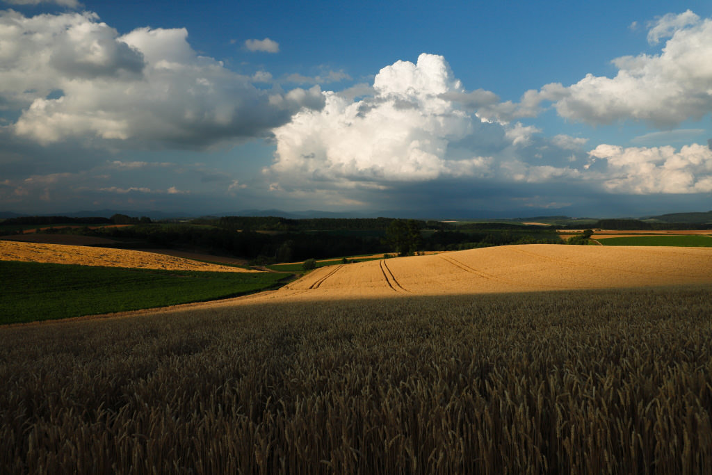 Landscape photo, shot with EOS 6D Mark II