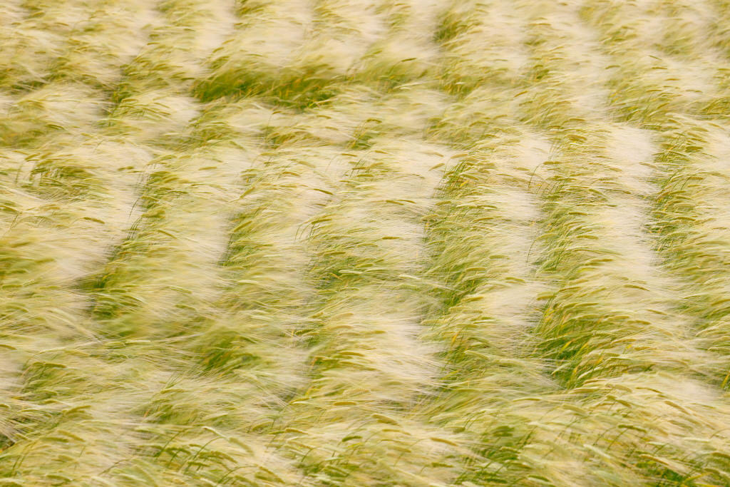 Intentional motion blur,shot with EOS 6D Mark II