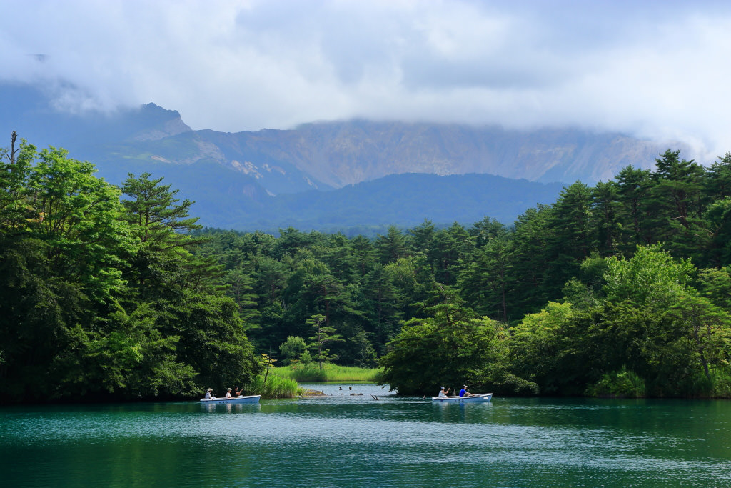 Bishamon swamp in summer, shot with the EOS 200D
