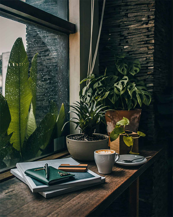 EOS M5 coffee  photography