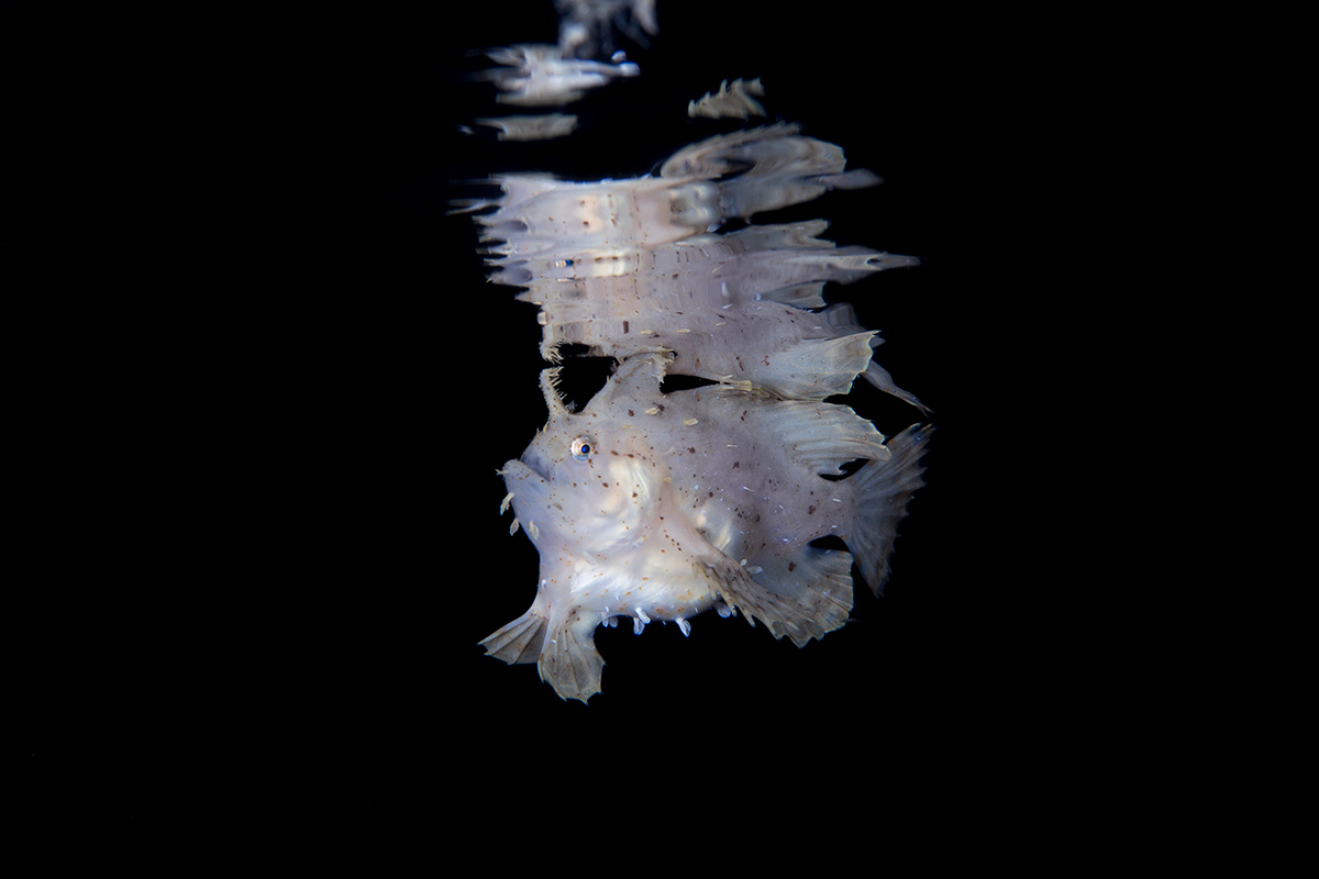 underwater destination in indonesia