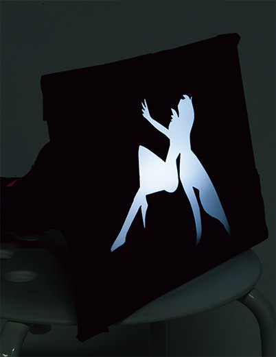 Flash unit w/ diffuser & fairy cutout