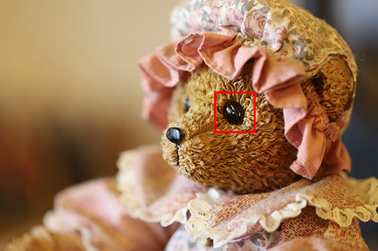 Teddy bear eye closeup CMOS